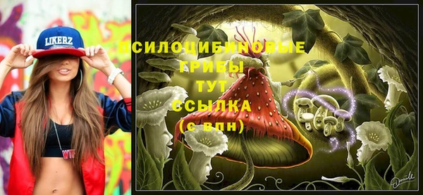 дмт Кущёвская