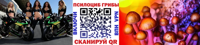 Псилоцибиновые грибы MAGIC MUSHROOMS  hydra ссылки  Муром 