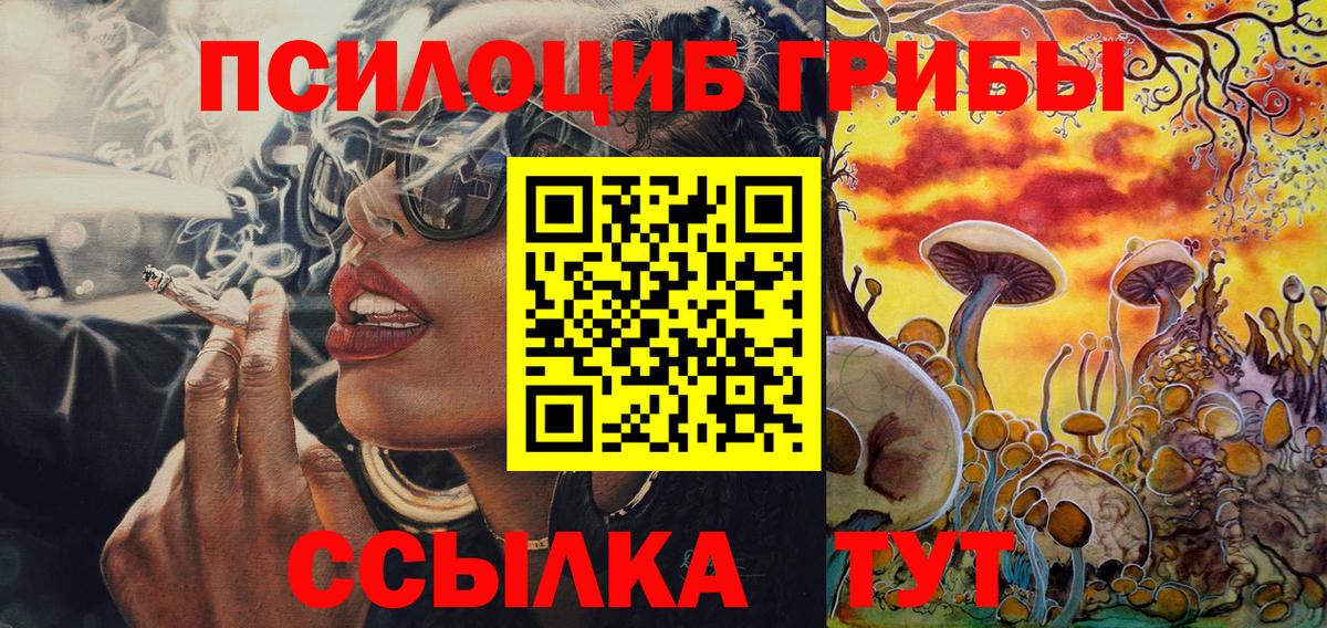 Муром  Псилоцибиновые грибы Psilocybine cubensis  Вход с VPN 
