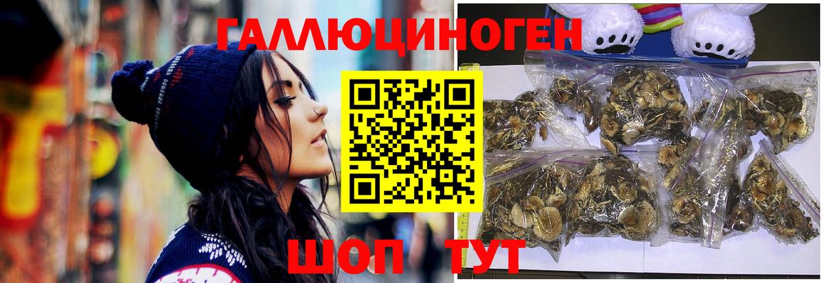 Псилоцибиновые грибы MAGIC MUSHROOMS Муром