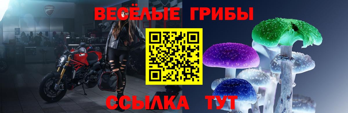 Псилоцибиновые грибы Cubensis  Муром  Галлюциногенные грибы Cubensis 